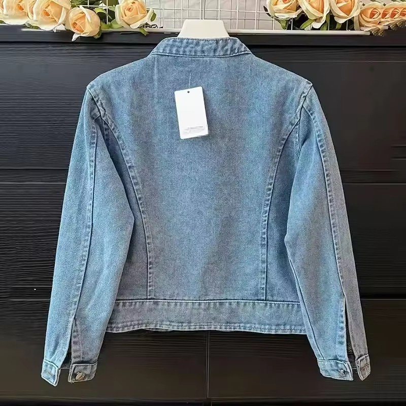 2024, весна-осень, новая модна – обзор и цена Embroidery Jacket Jeans